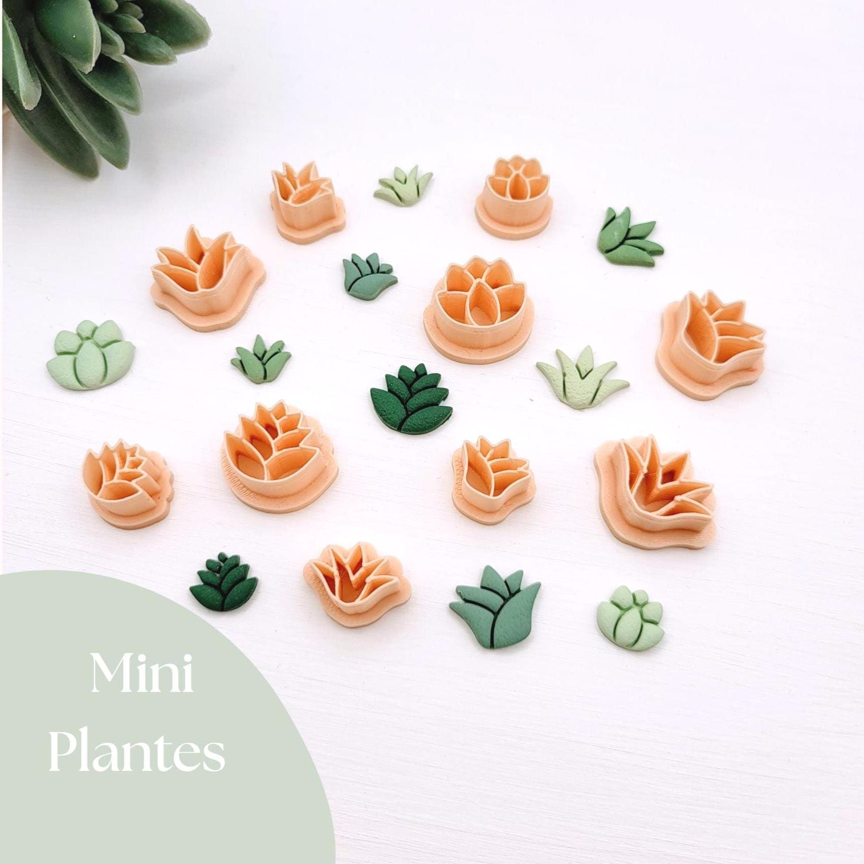 Emporte-pièce Mini plante du désert pour créations en argile polymère | 5 modèles | Mini Polymer clay desert plant